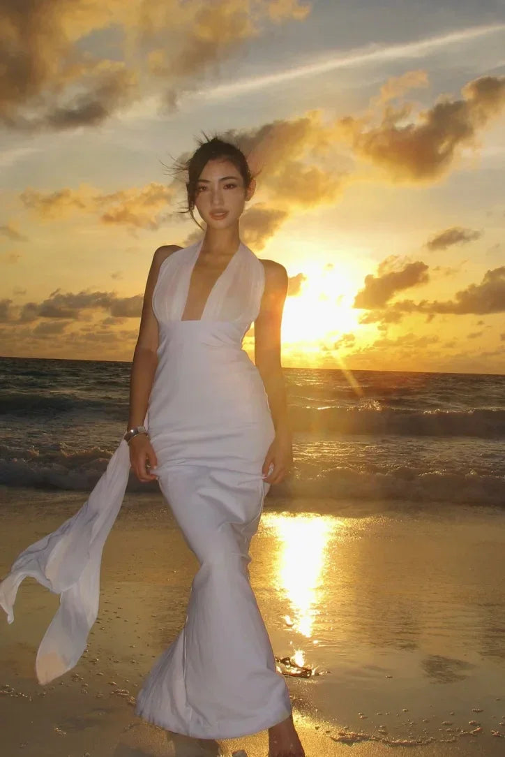 Robe Longue Dos Nu Bicolore Décolleté Soirée Élégante | ROBEMODE
